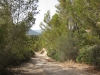 Offroad (Mallorca)