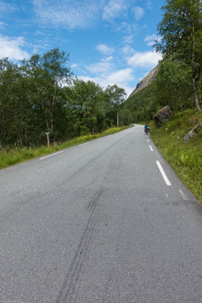 Cycling (Cycle Touring Norway 2016)