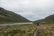 Grey walk (Cycle Touring Norway 2016)