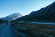 Leonie and the rudolphs (Cycle Touring Norway 2016)