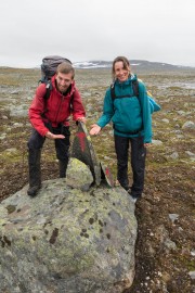 Presenting a T (Cycle Touring Norway 2016)