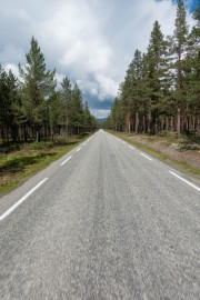 Straight road (Cycle Touring Norway 2016)