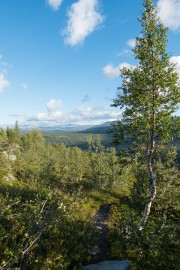 Track (Cycle Touring Norway 2016)