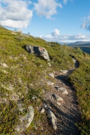 Track (Cycle Touring Norway 2016)