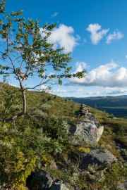 View 2 (Cycle Touring Norway 2016)