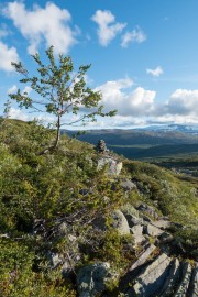 View (Cycle Touring Norway 2016)