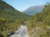 Leonie riding down (Cycle Touring Norway 2016)