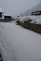 Snow! (Cycling  Dolomites)