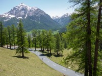 Cycling up to Albula Pass (Cycling Switzerland june 2014)
