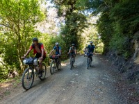 Biking on the island (D’Urville Island Bike Packing Feb 2021)