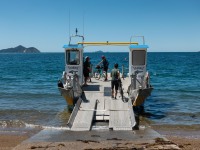 Boarding the ferry (D’Urville Island Bike Packing Feb 2021)