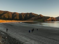 On the beach (D’Urville Island Bike Packing Feb 2021)