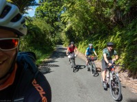 Riding (D’Urville Island Bike Packing Feb 2021)