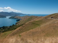View out towards French Pass (D’Urville Island Bike Packing Feb 2021)