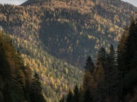 View down the valley again (Exploring Karwendel)