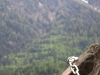 Anchor chain (Oetz, Austria)