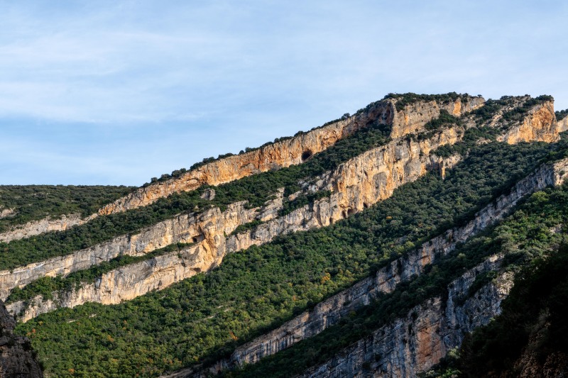 Cliffs and bush (Ferrata Adventures Ager Oct 2025)