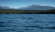View across the lake (Fiordland Dec 2020)