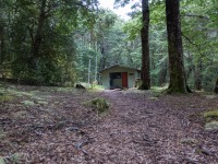 Hope Arm Hut (Fiordland Dec 2020)