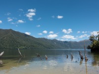 Lake (Fiordland Dec 2020)