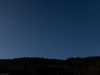 Starlight (Fiordland Dec 2020)