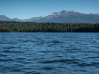 View across the lake (Fiordland Dec 2020)
