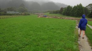 Boat in the paddock (Ligar Bay)
