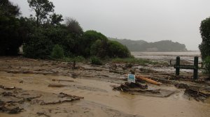 Coast care (Ligar Bay)