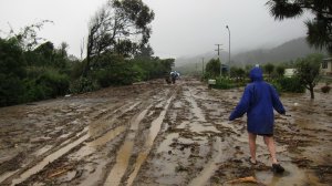 Gina goes walking along the road (Ligar Bay)