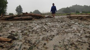 Gina in the debris flow (Ligar Bay)