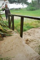 Holly looks at the river running beside the bach (Ligar Bay)