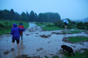 Just after the debris flow (Ligar Bay)