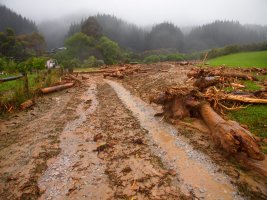 Large logs on drive way (Ligar Bay)