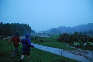 The boat gets swept away (Ligary Bay)