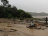 Coast care (Ligar Bay)