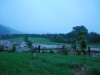 Debris flow (Ligar Bay)