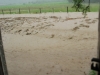 Flooding road (Ligar Bay)