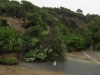 Road blocked in Ligar Bay (Ligar Bay)