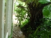 Water flows past the bach (Ligar Bay)