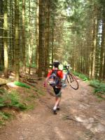 Julian road cycling in the forest 2 (Freiburg, Germany)