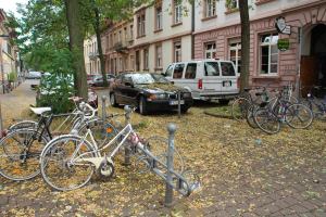 Leaves and bikes (Freiburg, Germany)