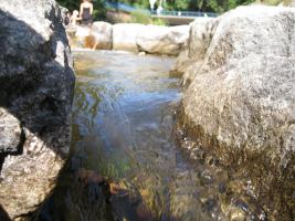 Swimming in the dreisam (Freiburg, Germany)