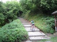 Cris ascending (Freiburg, Germany)