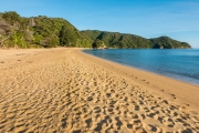 Golden and empty (Abel Tasman NP)