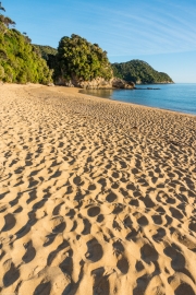 Golden sand (Abel Tasman NP)