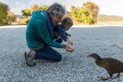 Mum and Melody feeding a weka (Taupo Point)