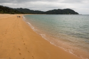 Running after the runners (Totaranui)