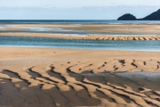 Wainui Inlet (Golden Bay)