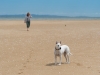Holly and Diesel (Wainui, Golden Bay)