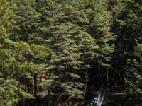 Jeremy crossing a bridge (Greenstone-Caples Jan 2021)